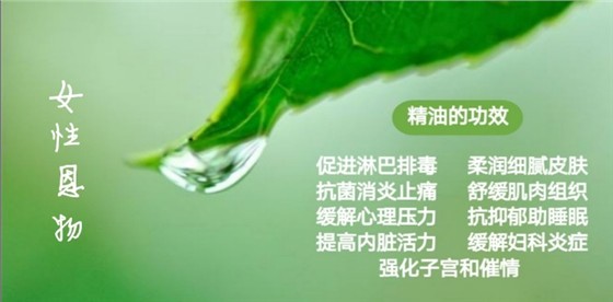 精油调理功效